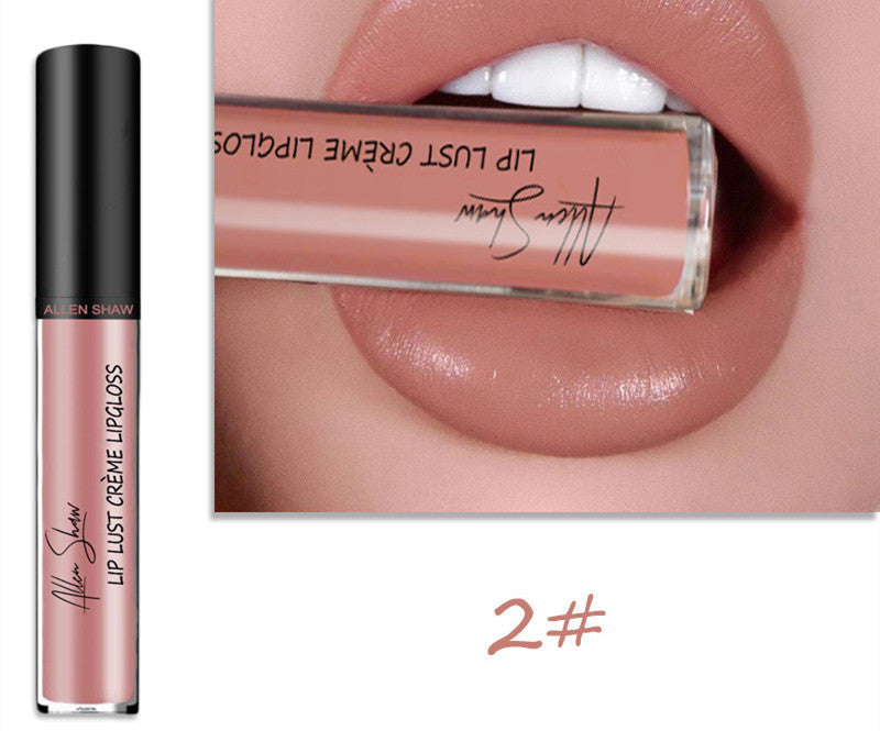 Silky Cream Lip Gloss