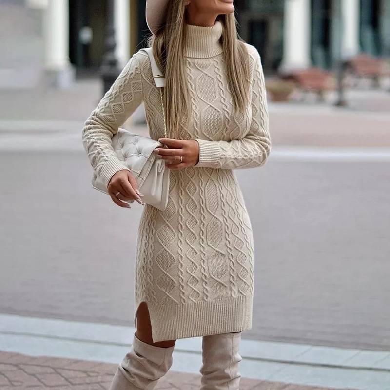 Women's Winter Collar Dress