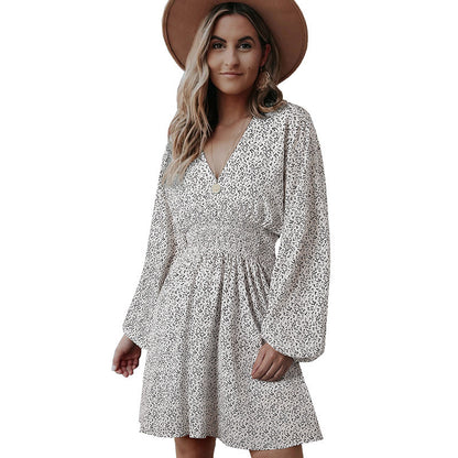 Long Sleeve V-Neck Dress